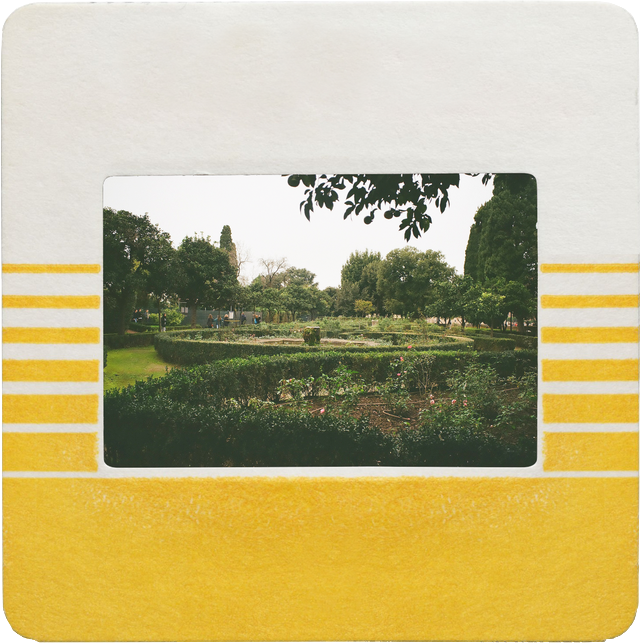 35mm slide polaroid