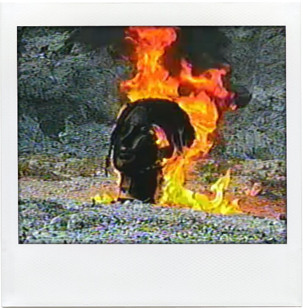 FIRE polaroid