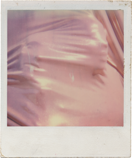 Apunkyrpha polaroid
