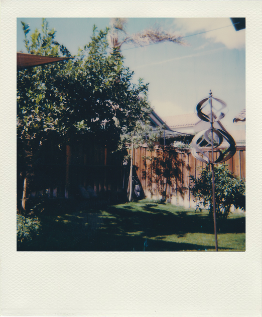 Art polaroid