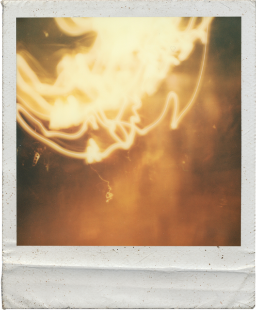 Visions polaroid
